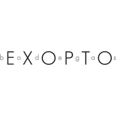 BODEGA EXOPTO BODEGA EXOPTO