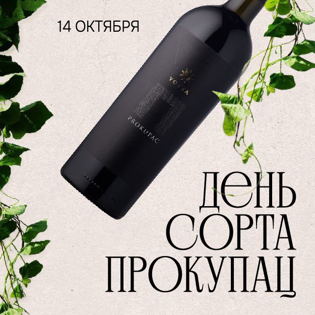 ДЕНЬ СОРТА ПРОКУПАЦ